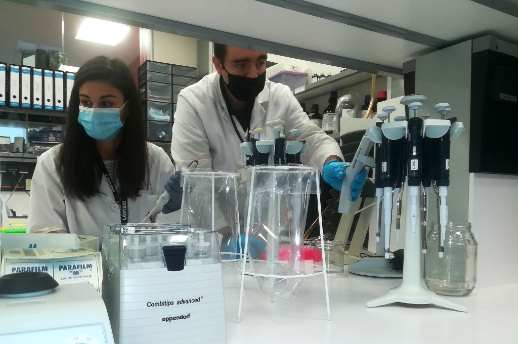 Aleovitro - A qué nos dedicamos