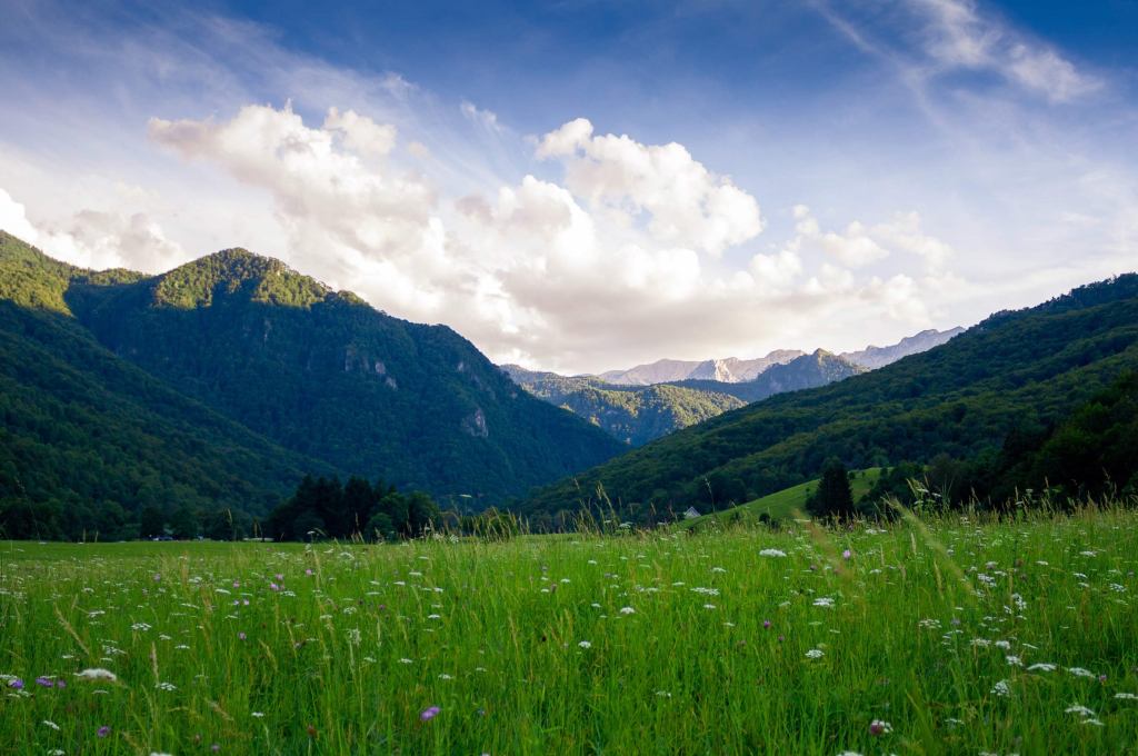 Aleovitro Naturaleza